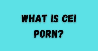 what is CEI porn?